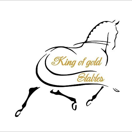 King Of Gold Stables Appartement Met Stalling Voor 5 Paarden Zutendaal Exterior foto